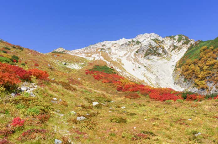 白馬鑓ヶ岳の紅葉