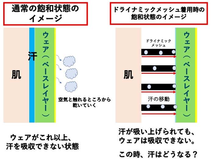 ドライナミックメッシュ