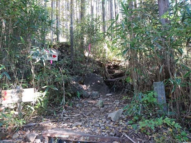 登山口