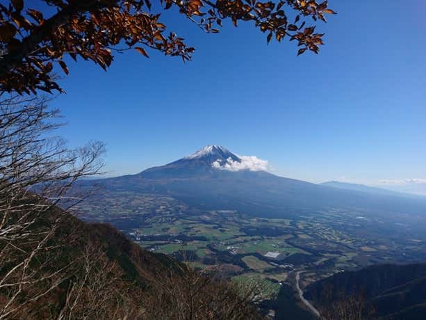 展望台からの眺め