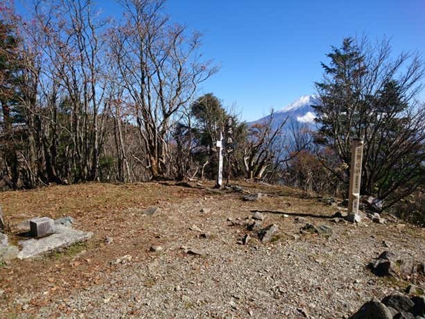 山頂からの景色