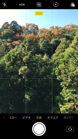 グリッド線