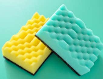 スポンジ