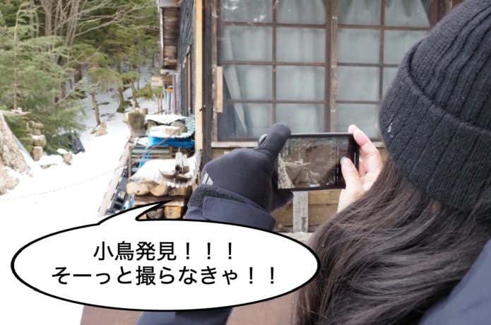 小鳥発見！
