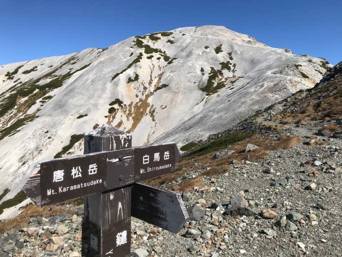 分岐