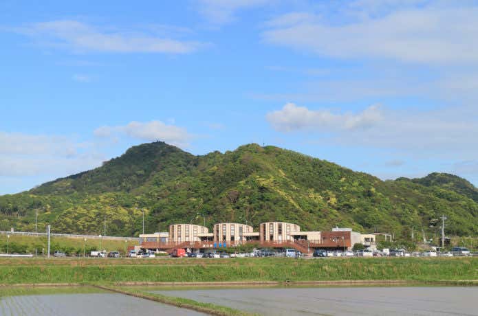 とみやま水仙遊歩道