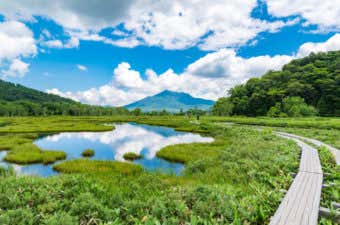 湿原　のんびり散歩