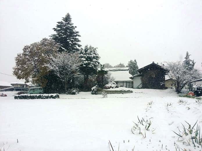 積雪