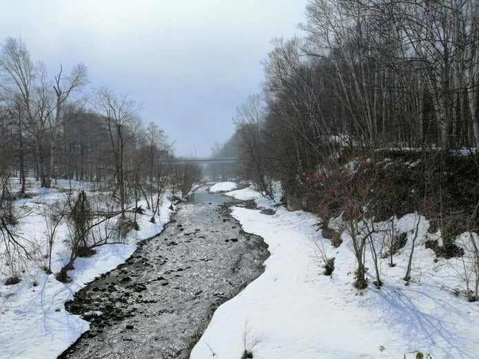 札幌の自宅近くの公園内の川