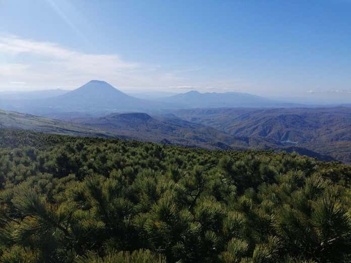 無意根山の山頂