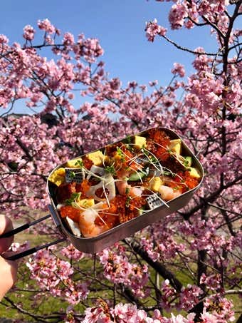 バラちらし　完成