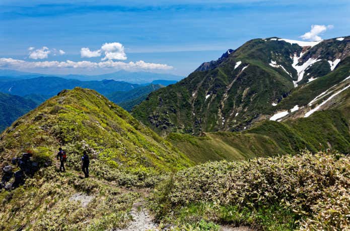 美しい登山道