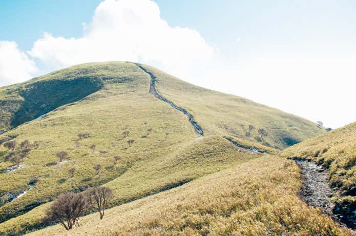 登山道