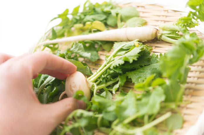 野草