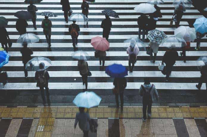 雨