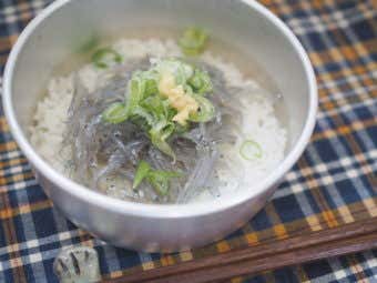 湘南名物生しらす丼