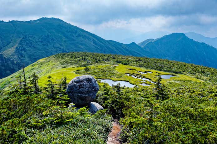 山と湿原