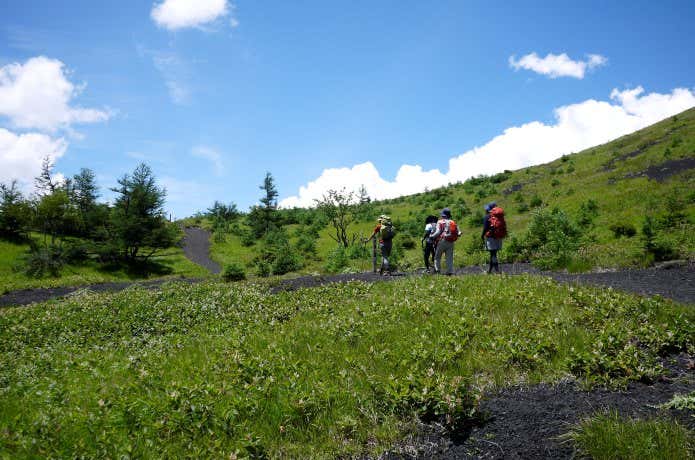 青空の登山道