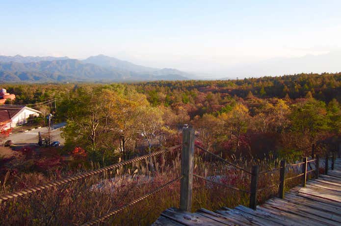 美し森からの紅葉