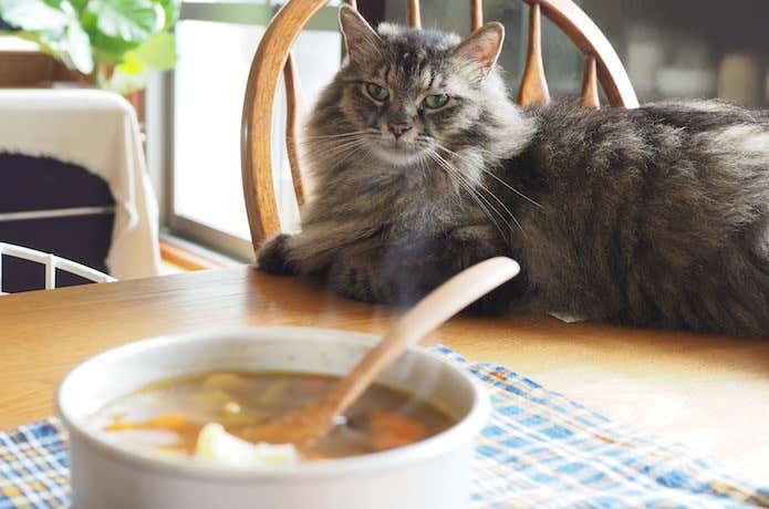 視線を感じながら完食