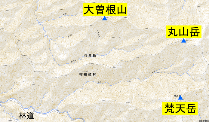 地形図