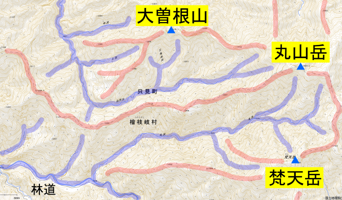 地形図