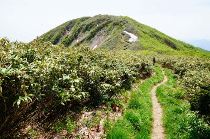 能郷白山