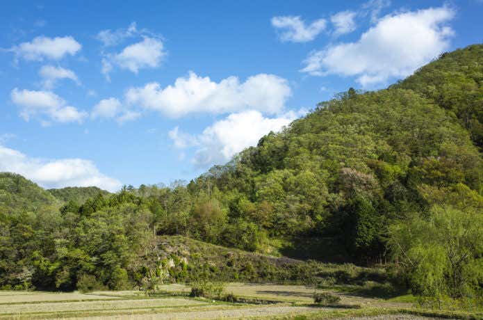 里山