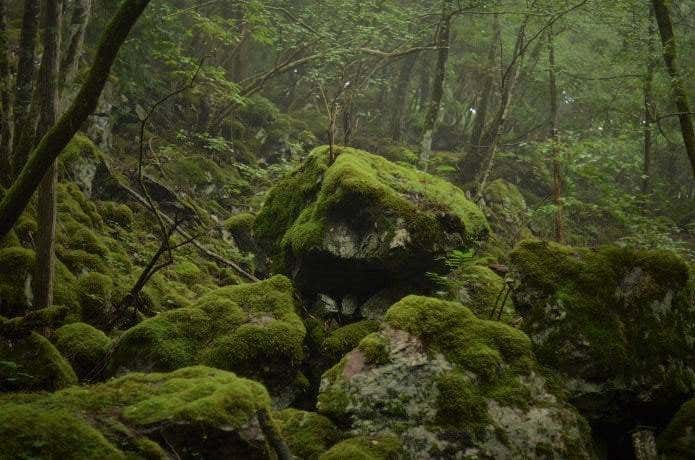 山犬嶽