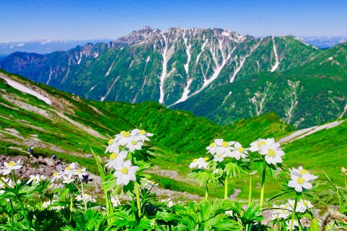 日本の場合、登山者のニーズは無雪期の日本百名山や富士山・日本アルプスに集中します