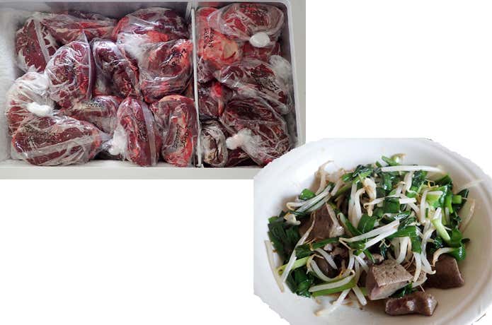 左上：冷凍庫いっぱいになって半ば困ることもある鹿肉　右下：獲れたばかりの新鮮な鹿の肝臓で作ったレバニラ