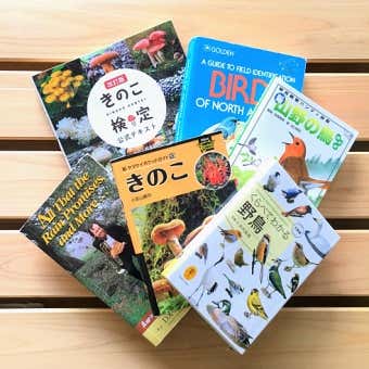 おうち時間