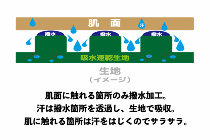 ハスの葉パンツ