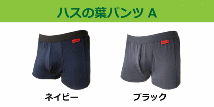 ハスの葉パンツ