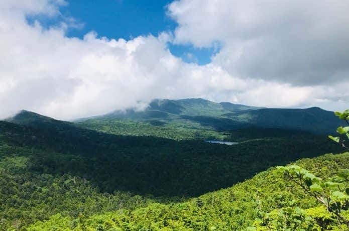 ニュウ山頂から白駒池を望む