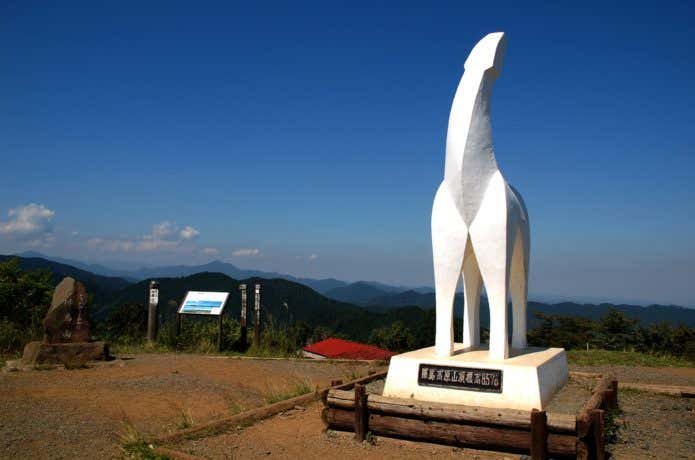 陣馬山の馬