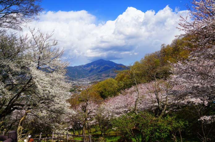 弘法山公園