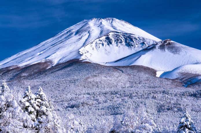 大雪原、樹氷と富士山