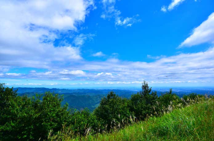 棒ノ折山