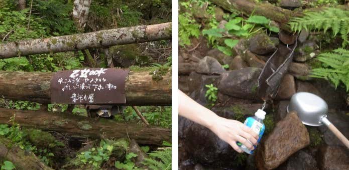 乙女の水