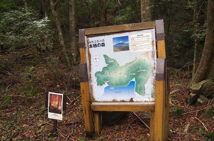 本栖湖畔登山口