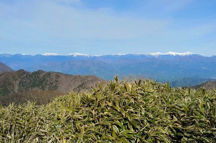 山頂からの南アルプス