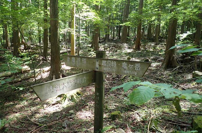 本栖湖方面への分岐