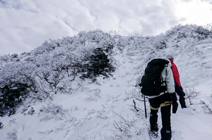 冬山