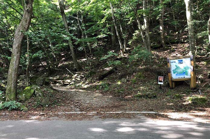 本栖湖畔登山口