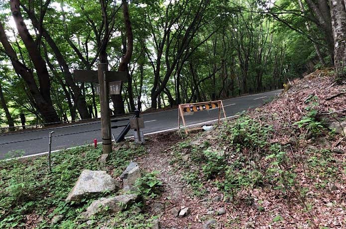 分岐から県道へ
