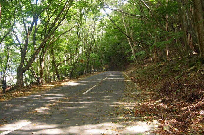 県道709号
