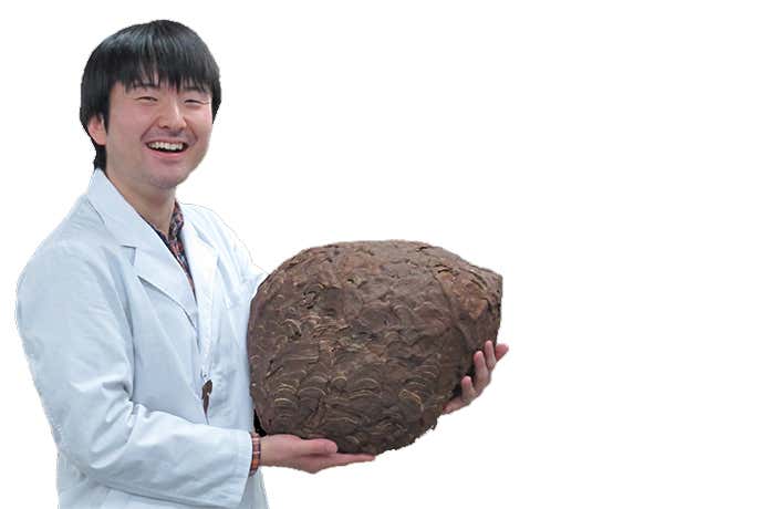 ウミ先生