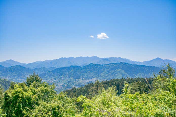 ヤマビル対策をして安全に登山を楽しもう