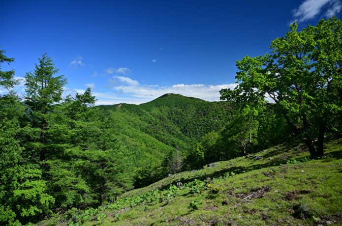 雲取山